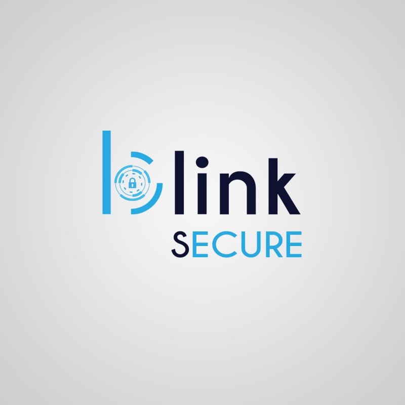 Security Company Logo Design